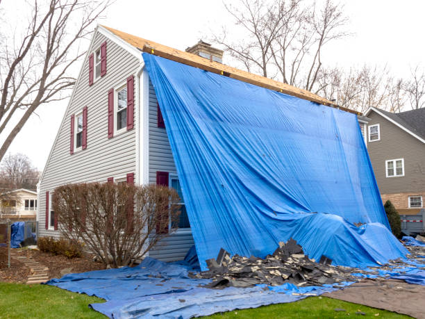 Best Steel Siding Installation  in University, MS